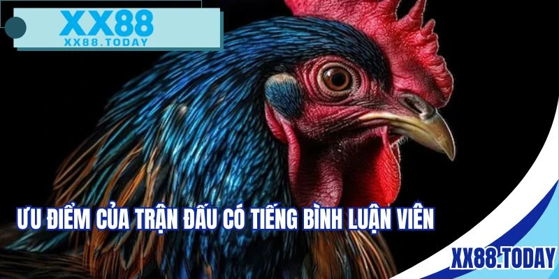 Nhiều điểm tiện ích khi xem chọi kê có BLV