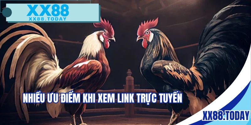 Nhiều ưu điểm vượt trội khi xem trực tiếp chọi kê